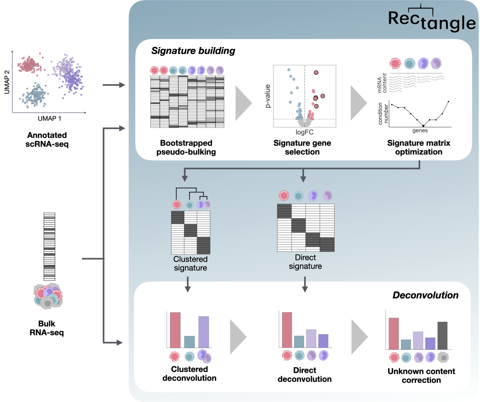 Overview of the Rectangle signature-building and multiscale deconvolution workflow